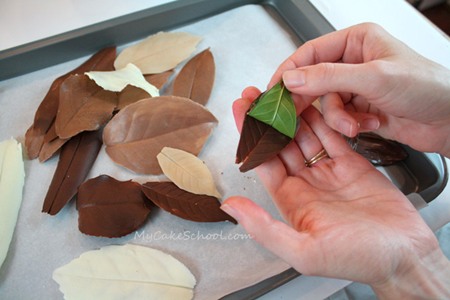 Tutorial para crear hojas de chocolate