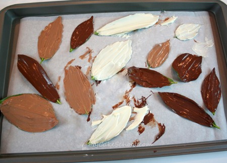 Tutorial para hacer hojas de chocolate