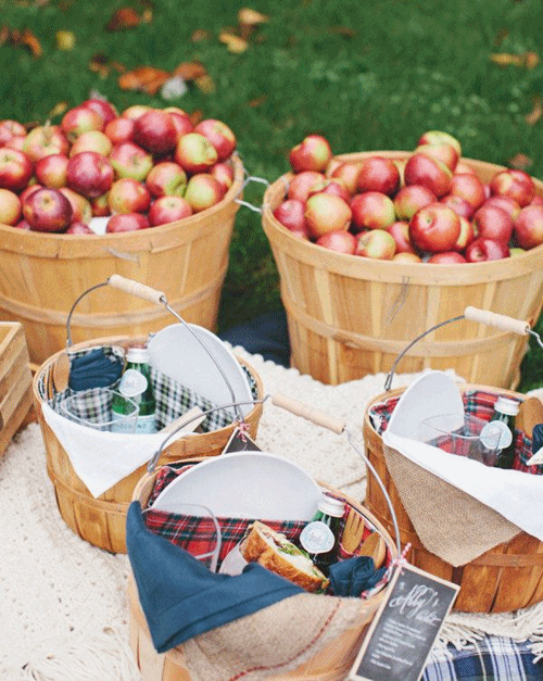 Ideas para celebrar un picnic de otoño