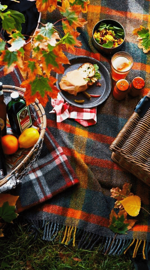 Ideas para celebrar un picnic de otoño